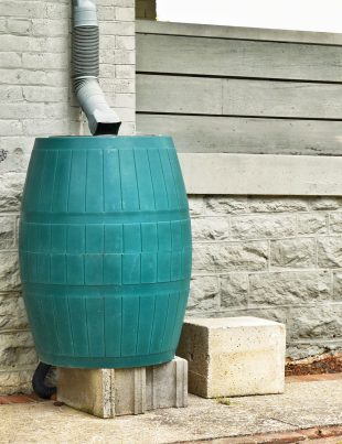 Green plastic rain catcher barrel to catch and conserve fresh chlorine-free water rainwater closeup